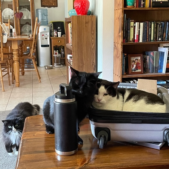 Meet your Posher, Kimbra - Picture 3 of 3